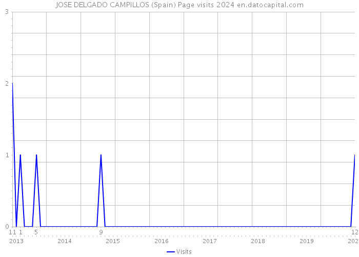 JOSE DELGADO CAMPILLOS (Spain) Page visits 2024 