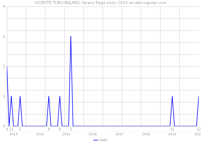 VICENTE TURU BALMES (Spain) Page visits 2024 