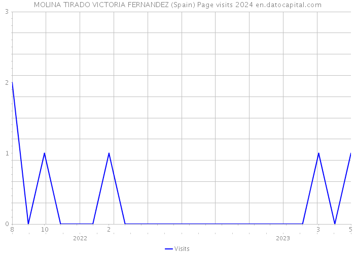 MOLINA TIRADO VICTORIA FERNANDEZ (Spain) Page visits 2024 