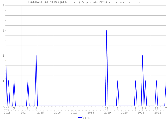 DAMIAN SALINERO JAEN (Spain) Page visits 2024 