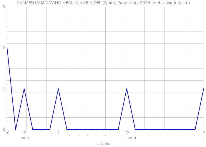 CARMEN CAMPUZANO MEDINA MARIA DEL (Spain) Page visits 2024 