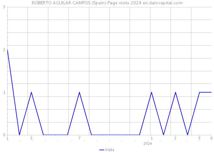 ROBERTO AGUILAR CAMPOS (Spain) Page visits 2024 