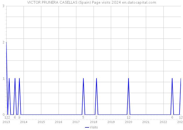VICTOR PRUNERA CASELLAS (Spain) Page visits 2024 