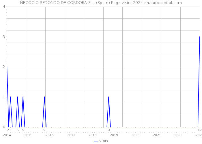 NEGOCIO REDONDO DE CORDOBA S.L. (Spain) Page visits 2024 