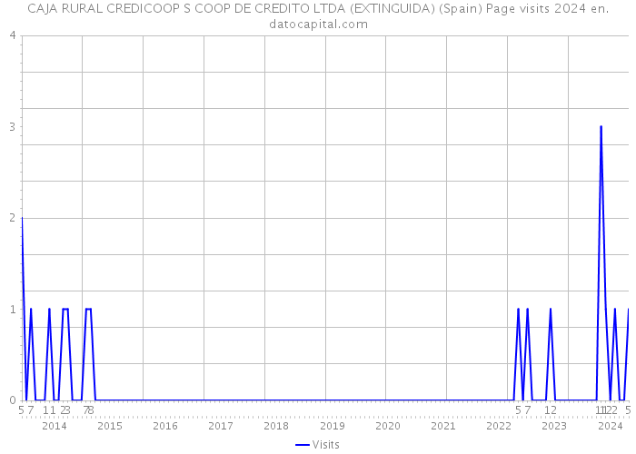 CAJA RURAL CREDICOOP S COOP DE CREDITO LTDA (EXTINGUIDA) (Spain) Page visits 2024 
