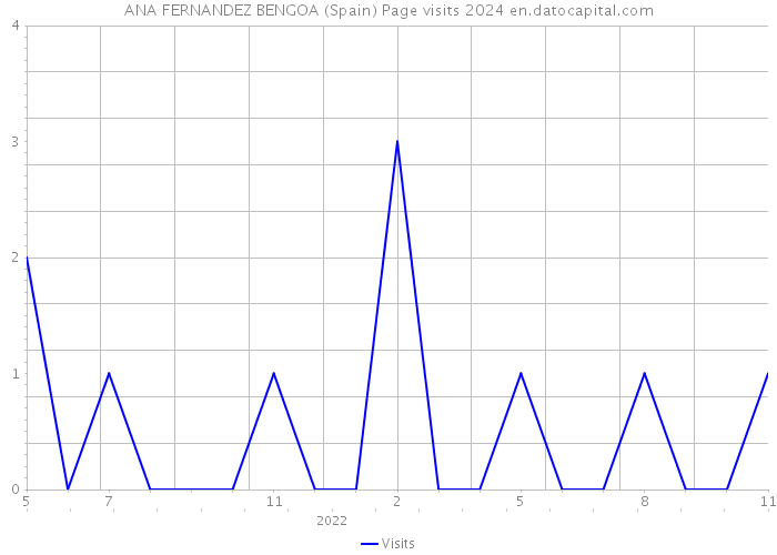 ANA FERNANDEZ BENGOA (Spain) Page visits 2024 