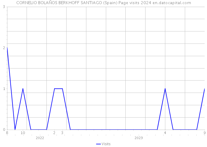 CORNELIO BOLAÑOS BERKHOFF SANTIAGO (Spain) Page visits 2024 