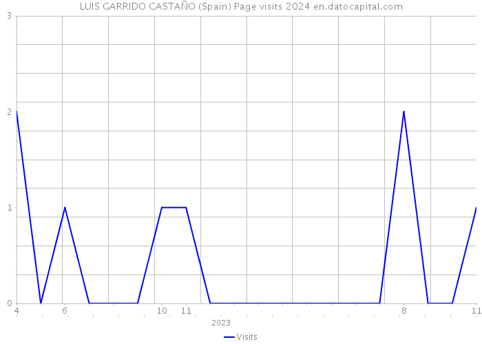 LUIS GARRIDO CASTAÑO (Spain) Page visits 2024 