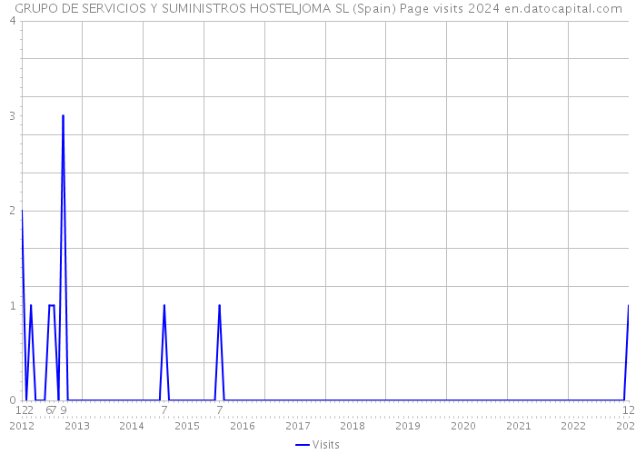 GRUPO DE SERVICIOS Y SUMINISTROS HOSTELJOMA SL (Spain) Page visits 2024 