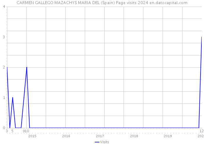 CARMEN GALLEGO MAZACHYS MARIA DEL (Spain) Page visits 2024 