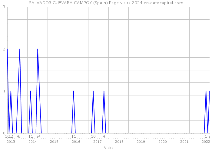 SALVADOR GUEVARA CAMPOY (Spain) Page visits 2024 