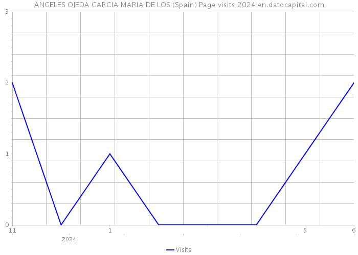 ANGELES OJEDA GARCIA MARIA DE LOS (Spain) Page visits 2024 