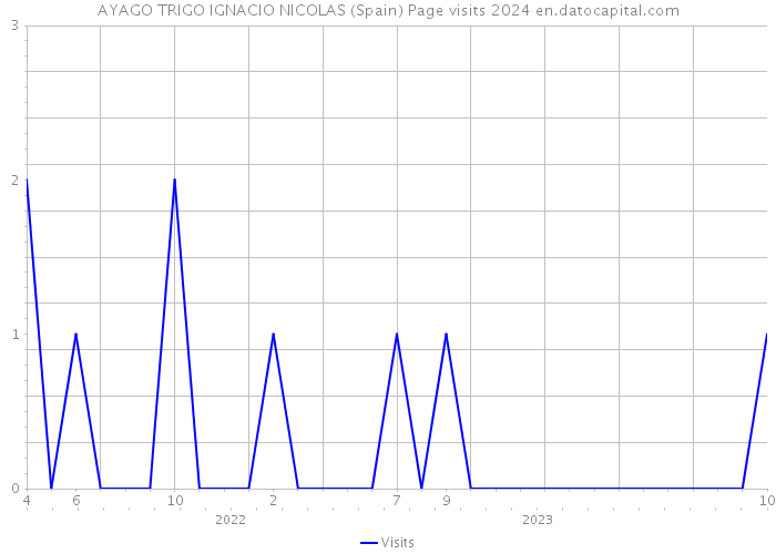 AYAGO TRIGO IGNACIO NICOLAS (Spain) Page visits 2024 