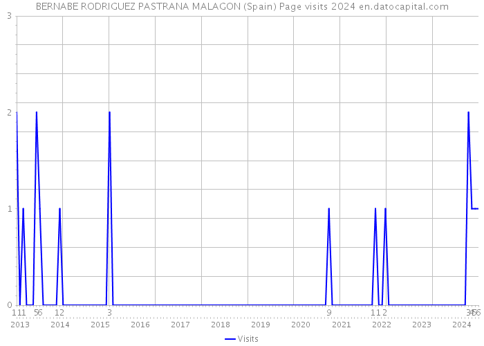 BERNABE RODRIGUEZ PASTRANA MALAGON (Spain) Page visits 2024 