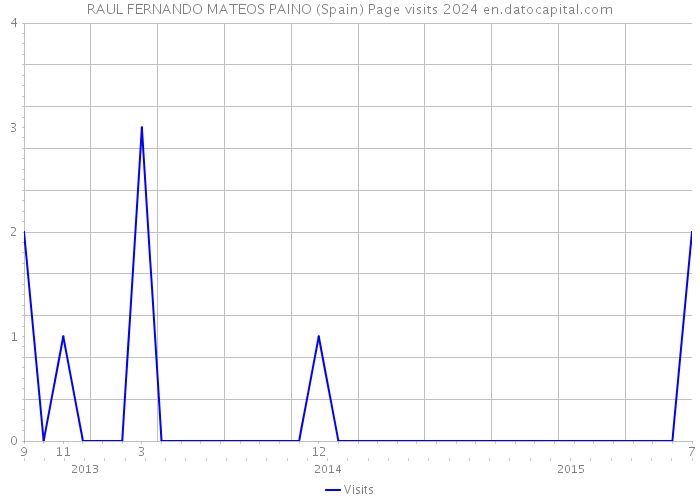 RAUL FERNANDO MATEOS PAINO (Spain) Page visits 2024 