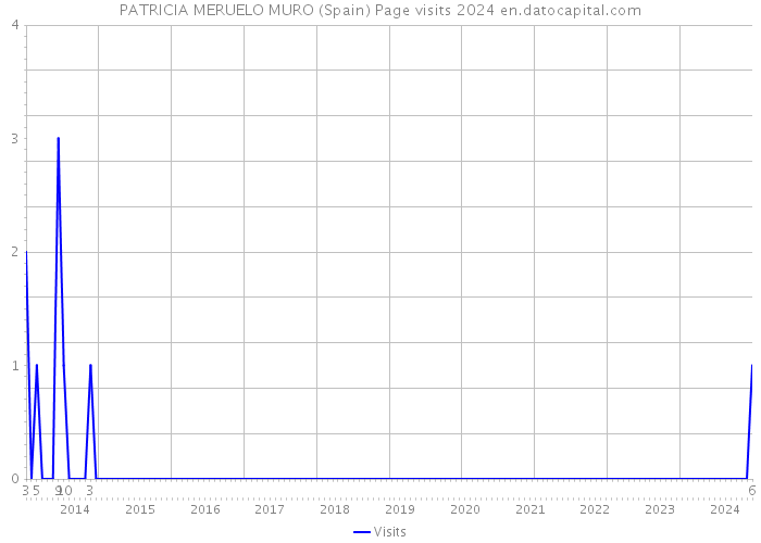PATRICIA MERUELO MURO (Spain) Page visits 2024 