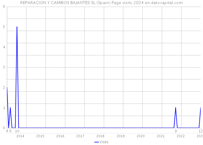 REPARACION Y CAMBIOS BAJANTES SL (Spain) Page visits 2024 