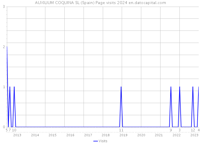 AUXILIUM COQUINA SL (Spain) Page visits 2024 