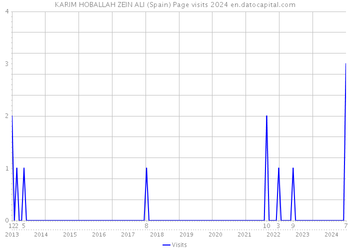 KARIM HOBALLAH ZEIN ALI (Spain) Page visits 2024 