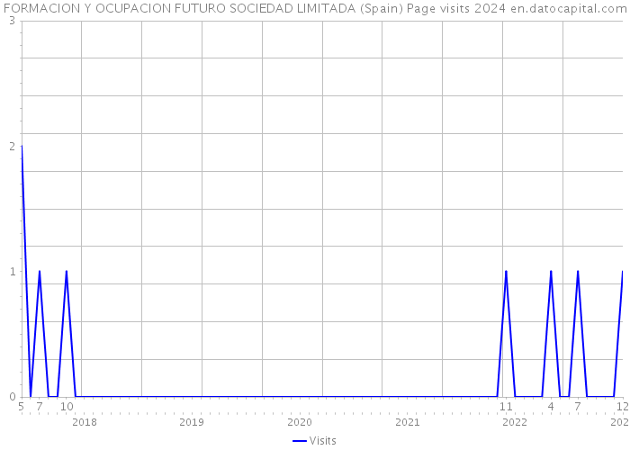 FORMACION Y OCUPACION FUTURO SOCIEDAD LIMITADA (Spain) Page visits 2024 