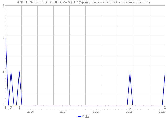 ANGEL PATRICIO AUQUILLA VAZQUEZ (Spain) Page visits 2024 