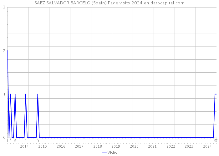 SAEZ SALVADOR BARCELO (Spain) Page visits 2024 