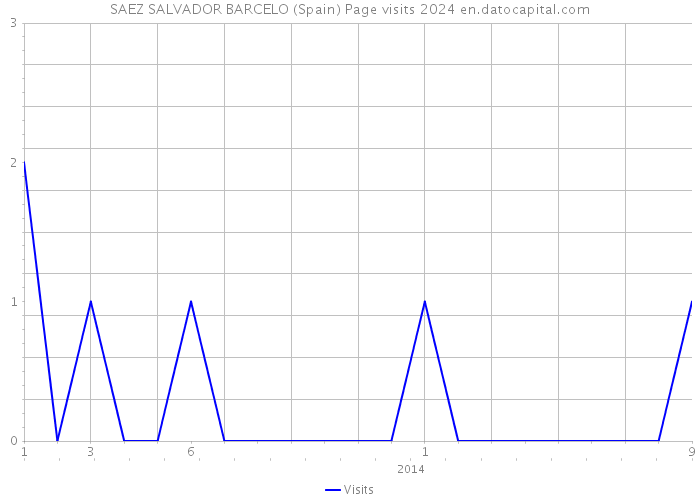 SAEZ SALVADOR BARCELO (Spain) Page visits 2024 