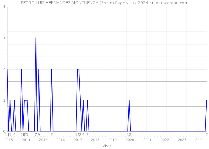 PEDRO LUIS HERNANDEZ MONTUENGA (Spain) Page visits 2024 