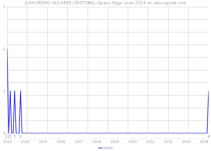 JUAN PEDRO OLIVARES CRISTOBAL (Spain) Page visits 2024 