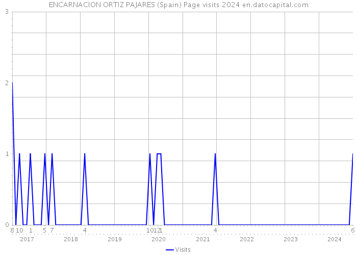 ENCARNACION ORTIZ PAJARES (Spain) Page visits 2024 