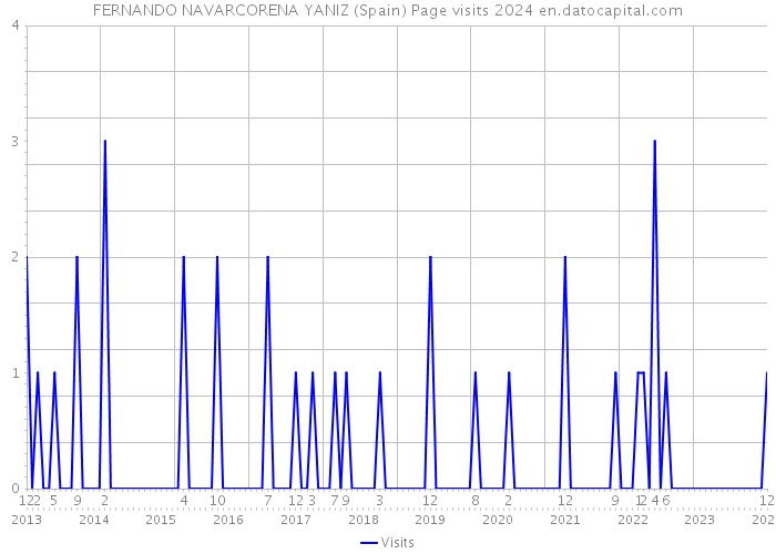 FERNANDO NAVARCORENA YANIZ (Spain) Page visits 2024 