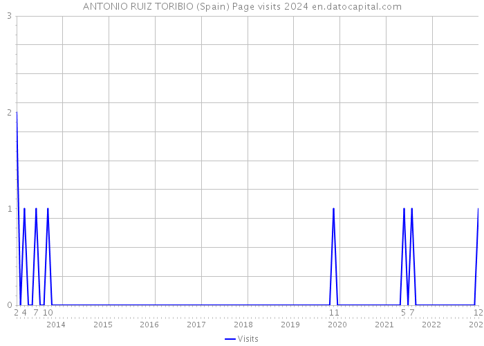ANTONIO RUIZ TORIBIO (Spain) Page visits 2024 