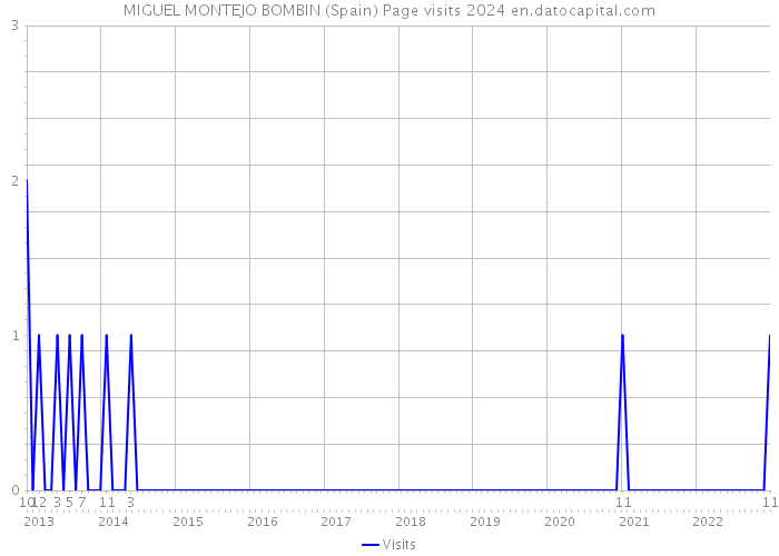 MIGUEL MONTEJO BOMBIN (Spain) Page visits 2024 