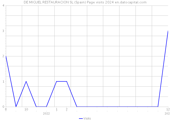 DE MIGUEL RESTAURACION SL (Spain) Page visits 2024 