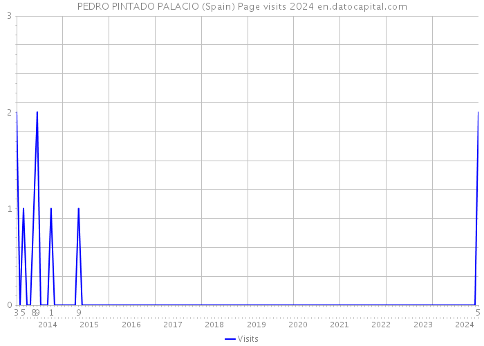 PEDRO PINTADO PALACIO (Spain) Page visits 2024 