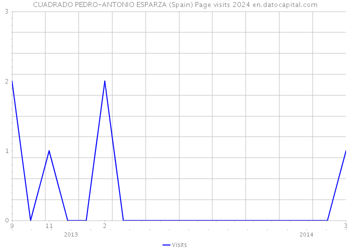 CUADRADO PEDRO-ANTONIO ESPARZA (Spain) Page visits 2024 