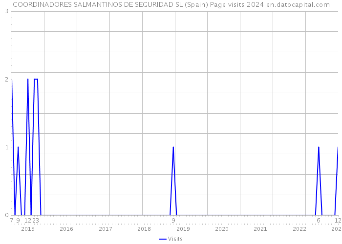COORDINADORES SALMANTINOS DE SEGURIDAD SL (Spain) Page visits 2024 