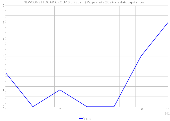 NEWCONS HIDGAR GROUP S.L. (Spain) Page visits 2024 