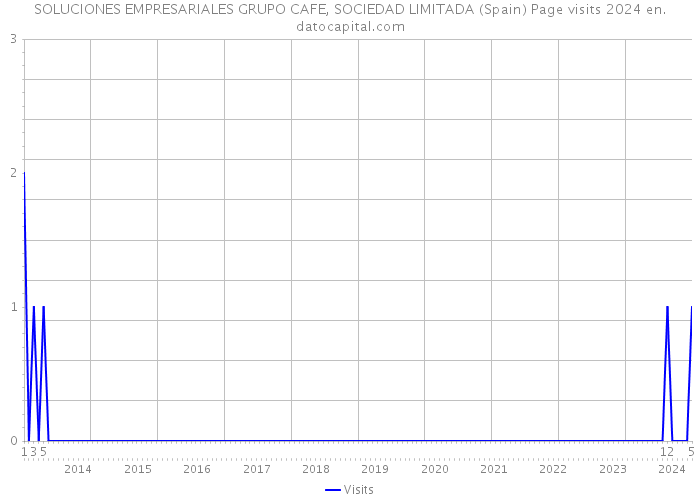 SOLUCIONES EMPRESARIALES GRUPO CAFE, SOCIEDAD LIMITADA (Spain) Page visits 2024 