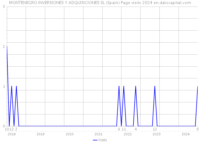 MONTENEGRO INVERSIONES Y ADQUISICIONES SL (Spain) Page visits 2024 