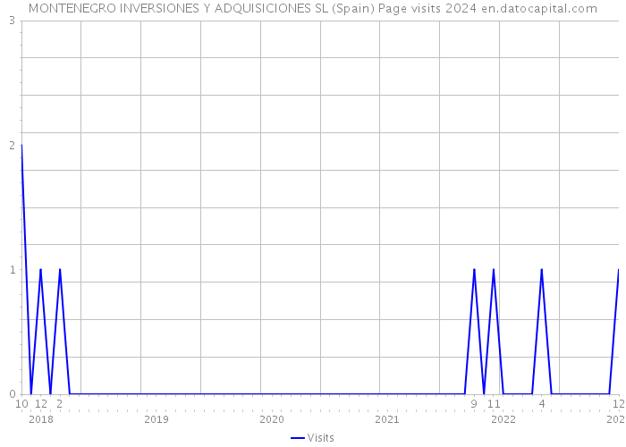 MONTENEGRO INVERSIONES Y ADQUISICIONES SL (Spain) Page visits 2024 