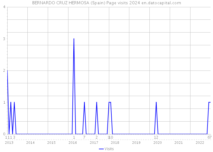 BERNARDO CRUZ HERMOSA (Spain) Page visits 2024 