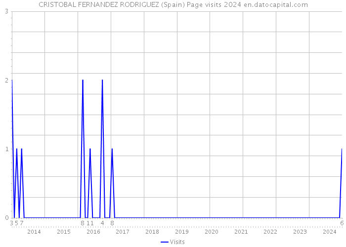 CRISTOBAL FERNANDEZ RODRIGUEZ (Spain) Page visits 2024 