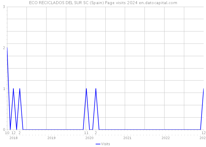 ECO RECICLADOS DEL SUR SC (Spain) Page visits 2024 