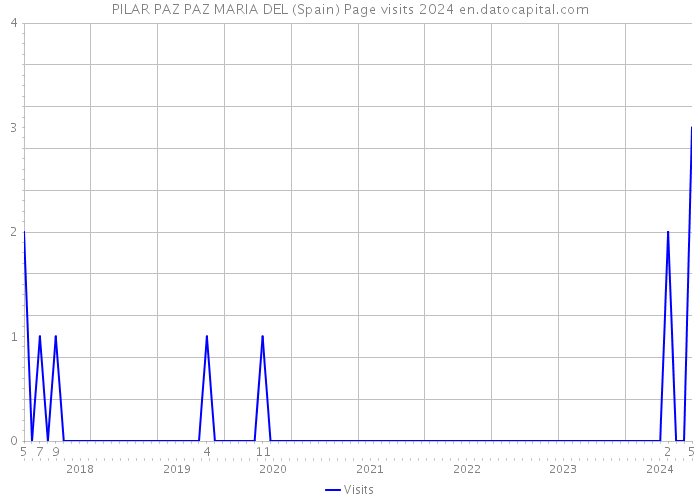 PILAR PAZ PAZ MARIA DEL (Spain) Page visits 2024 