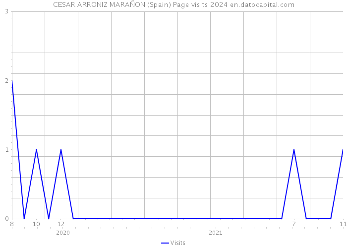 CESAR ARRONIZ MARAÑON (Spain) Page visits 2024 