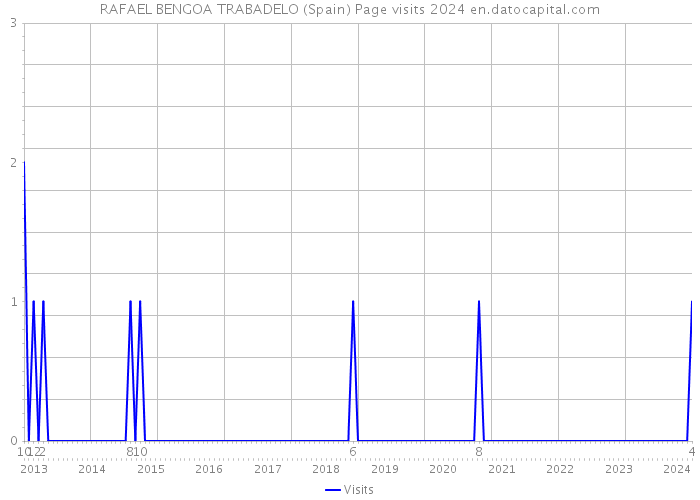 RAFAEL BENGOA TRABADELO (Spain) Page visits 2024 