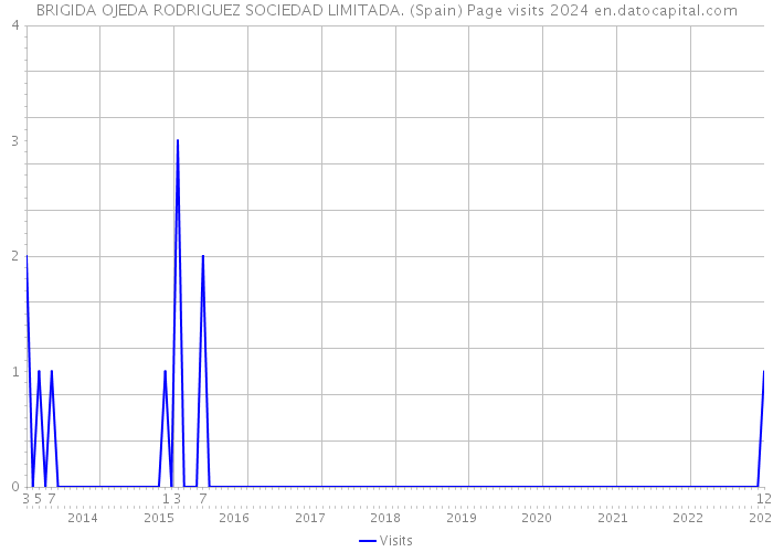 BRIGIDA OJEDA RODRIGUEZ SOCIEDAD LIMITADA. (Spain) Page visits 2024 