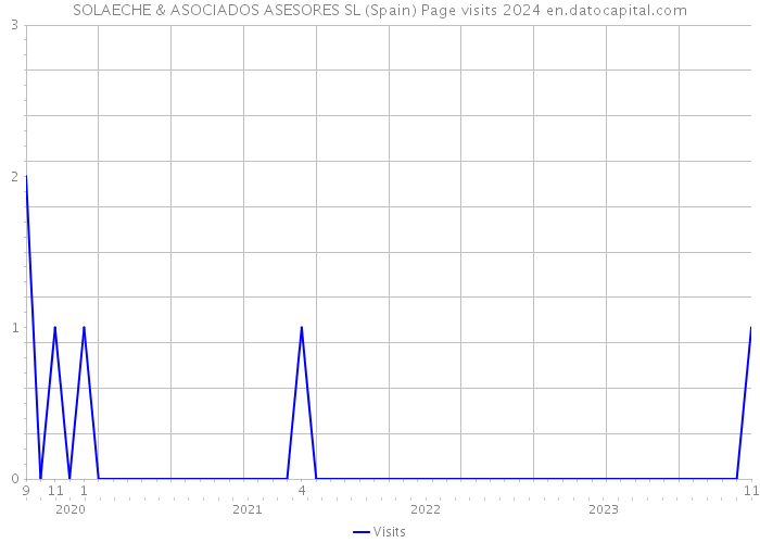 SOLAECHE & ASOCIADOS ASESORES SL (Spain) Page visits 2024 