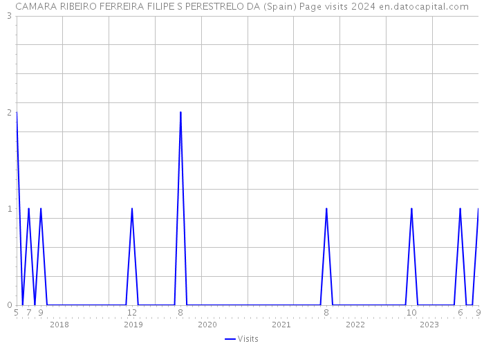 CAMARA RIBEIRO FERREIRA FILIPE S PERESTRELO DA (Spain) Page visits 2024 